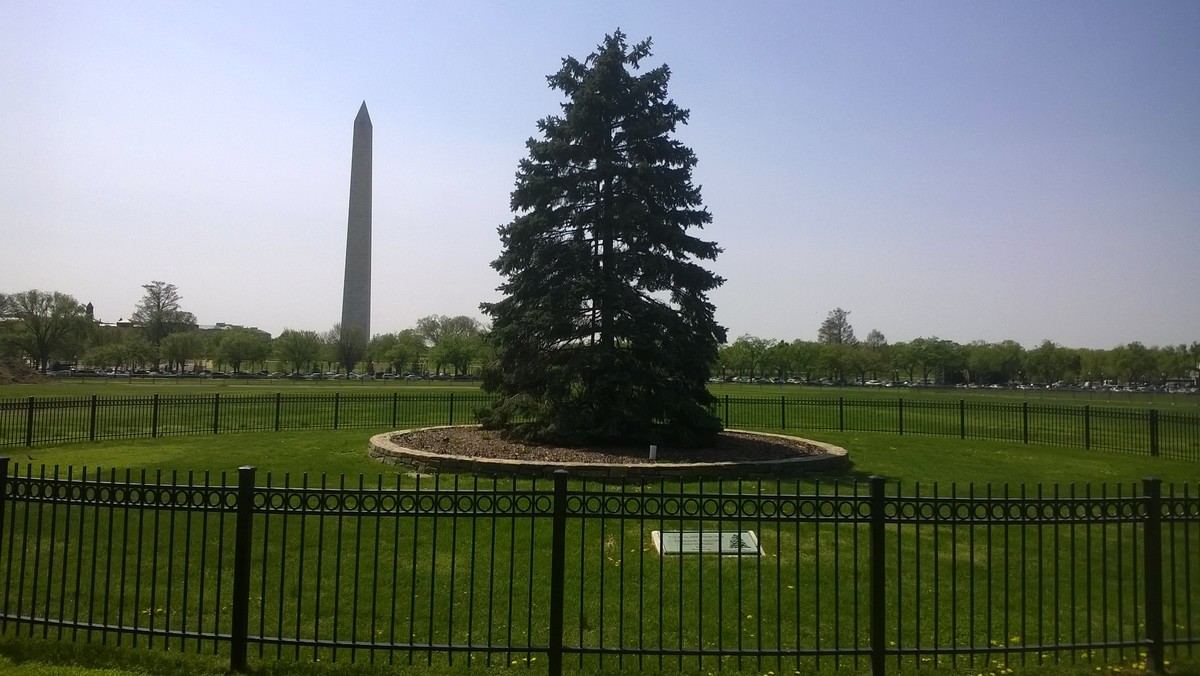 National Christmas Tree