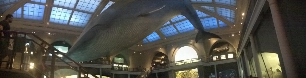 oceanographer's dream