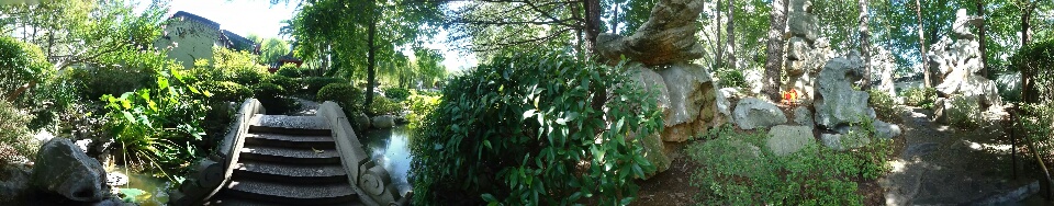 chinese garden panorama