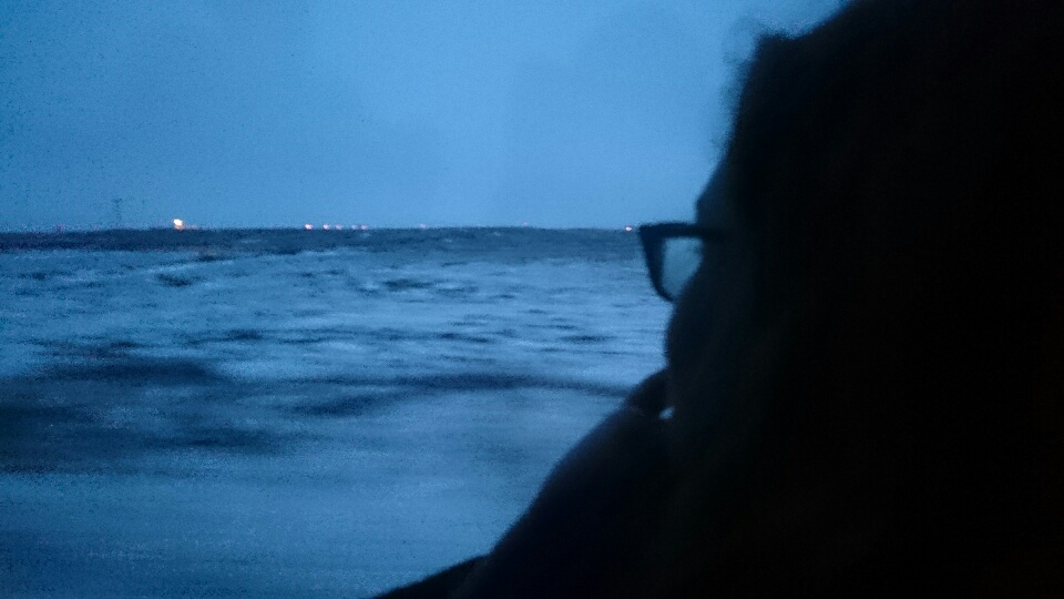 Magnificent Desolation