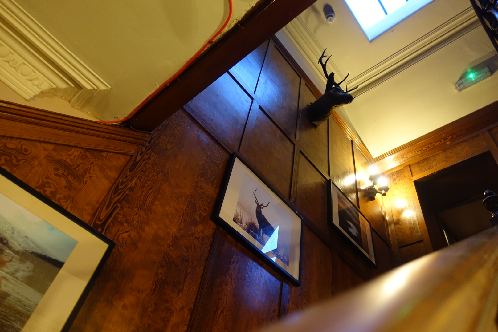 stuffed animals by the staircase