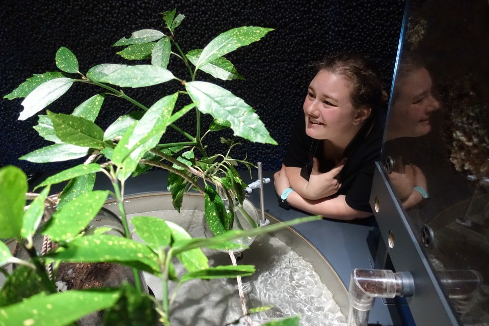 grace contemplates an ant colony at Micropia