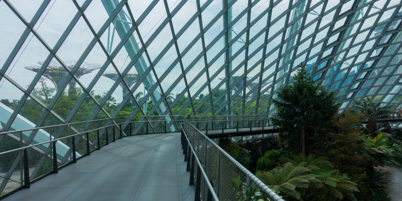 One day, facilities like this could be the only place these species exist.