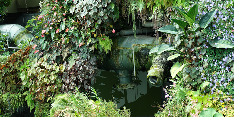 A moss-lined air conditioning vent