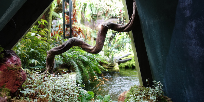 A root, or branch, winds through a steel enclave