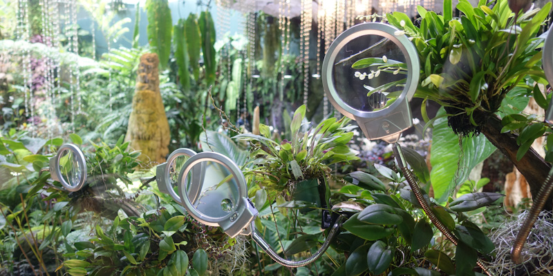 Looking glasses and lights and tiny, tiny flowers.