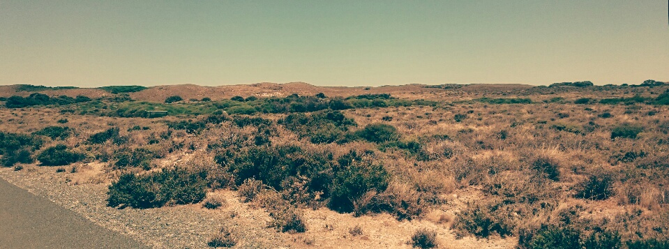 definitely a hellscape