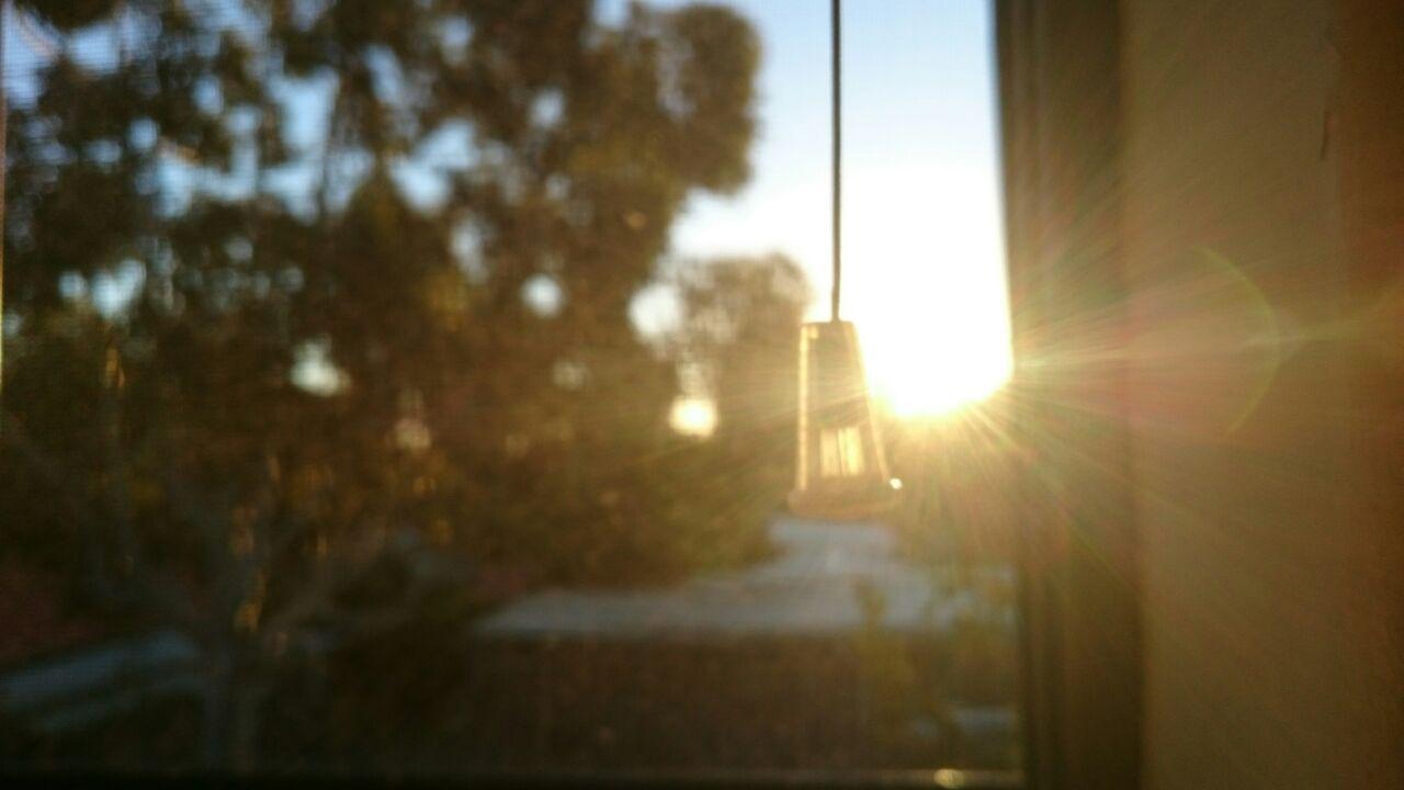 and a flyscreen you built yourself too.